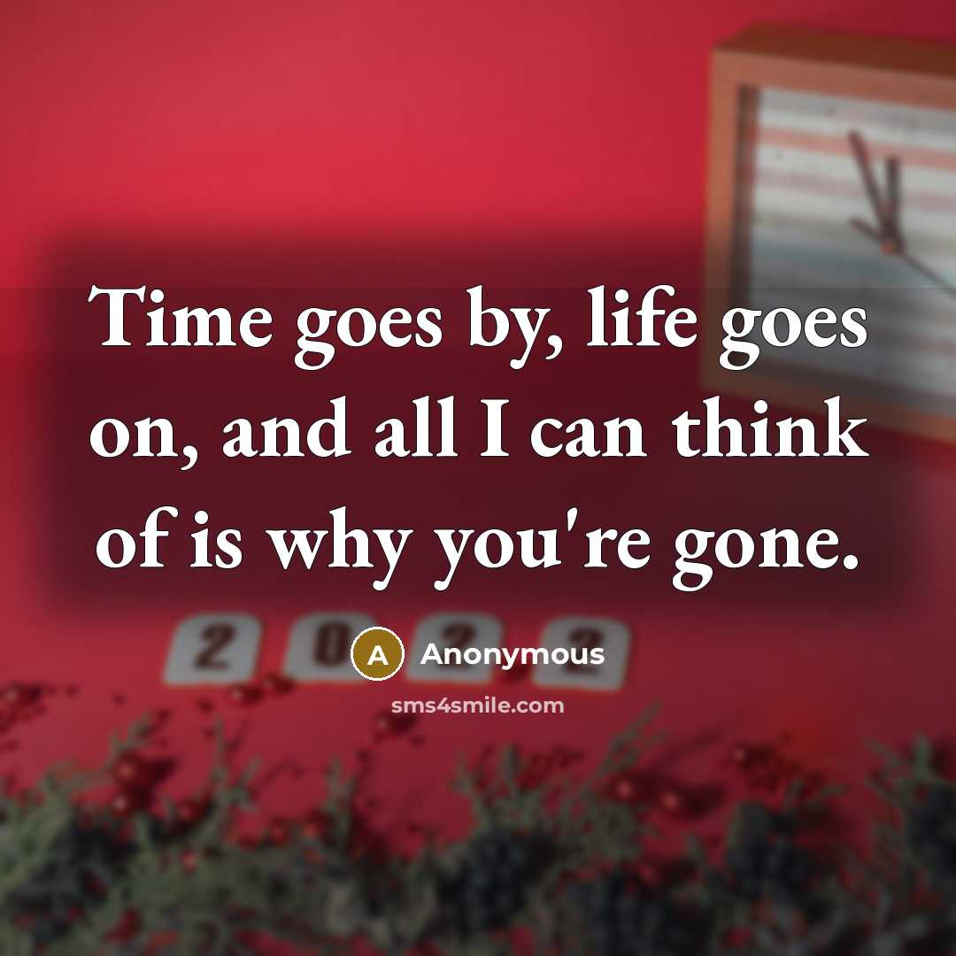 “Time goes by, life goes on, and all I can…” quote by Anonymous