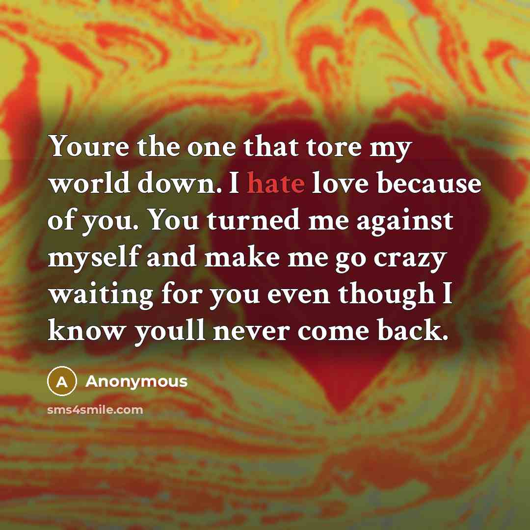 “Youre the one that tore my world down. I hate love because of you. You turned me against myself and make me go crazy waiting for you even though I know youll never come back.” quote by Anonymous