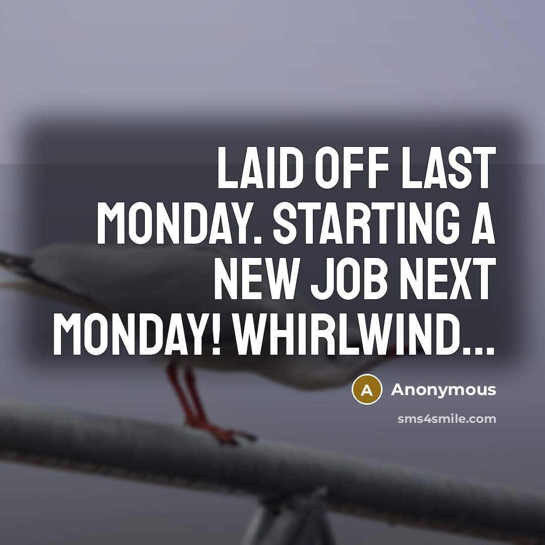 “Laid off last Monday. Starting a new job next Monday!…” quote by Anonymous