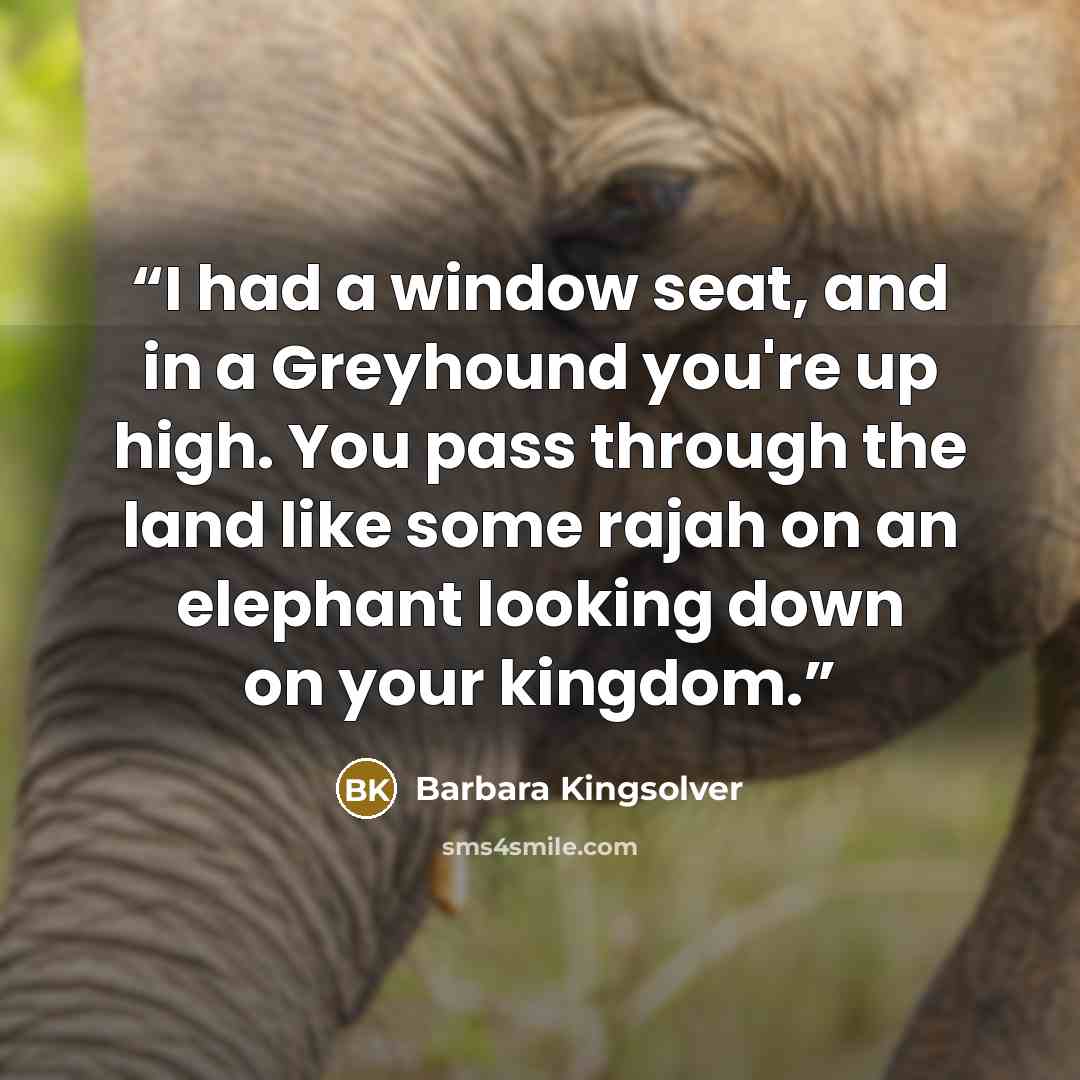 “I had a window seat, and in a Greyhound you're up high. You pass through the land like some rajah on an elephant looking down on your kingdom.” quote by Barbara Kingsolver