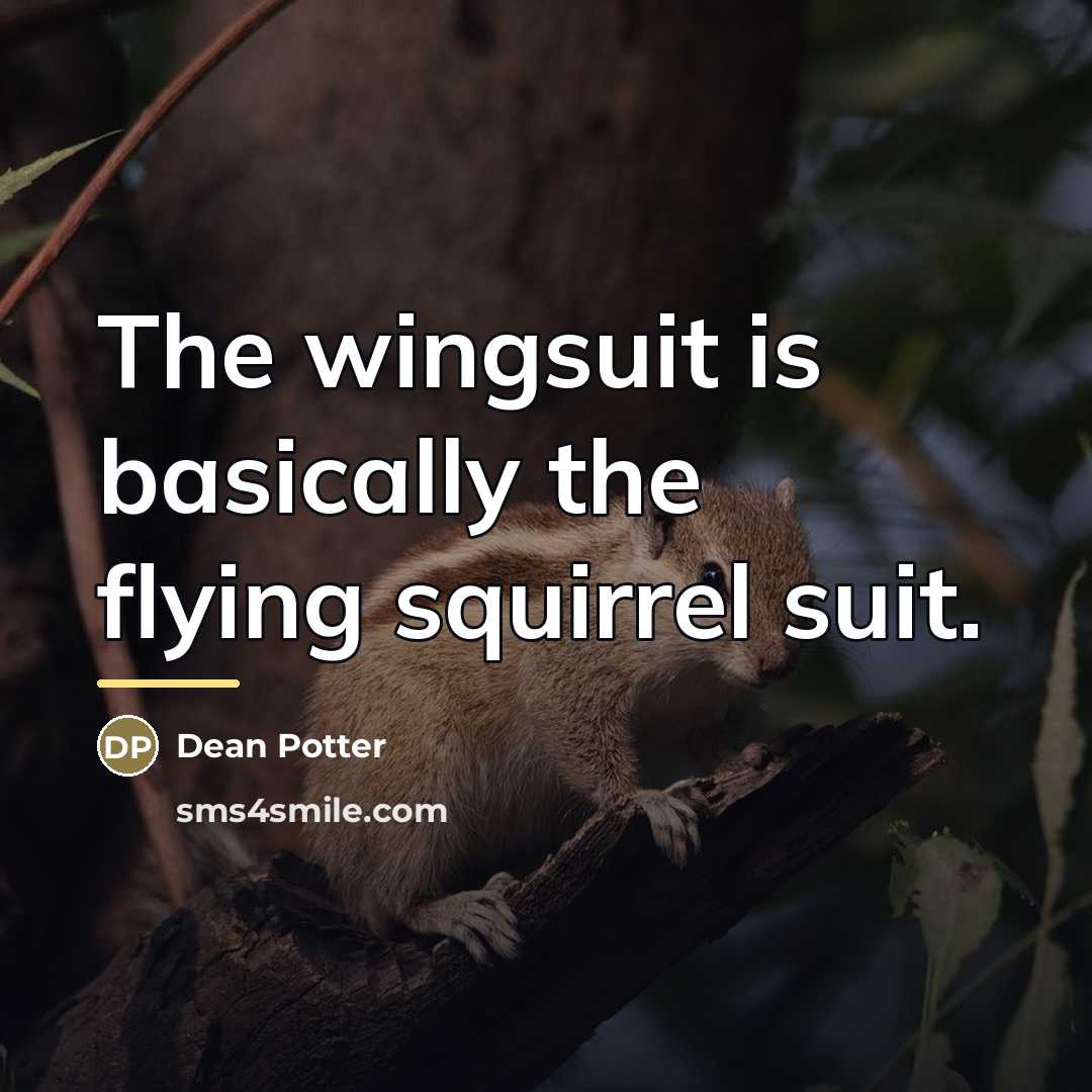 “The wingsuit is basically the flying squirrel suit.…” quote by Dean Potter