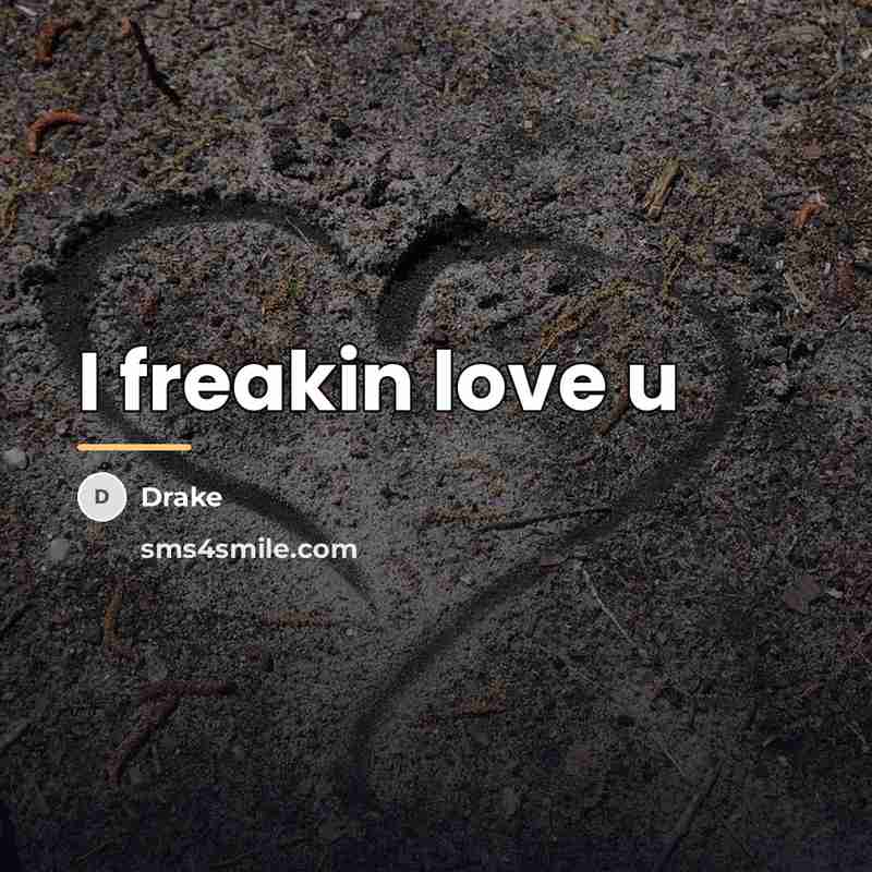 “I freakin love u…” quote by Drake