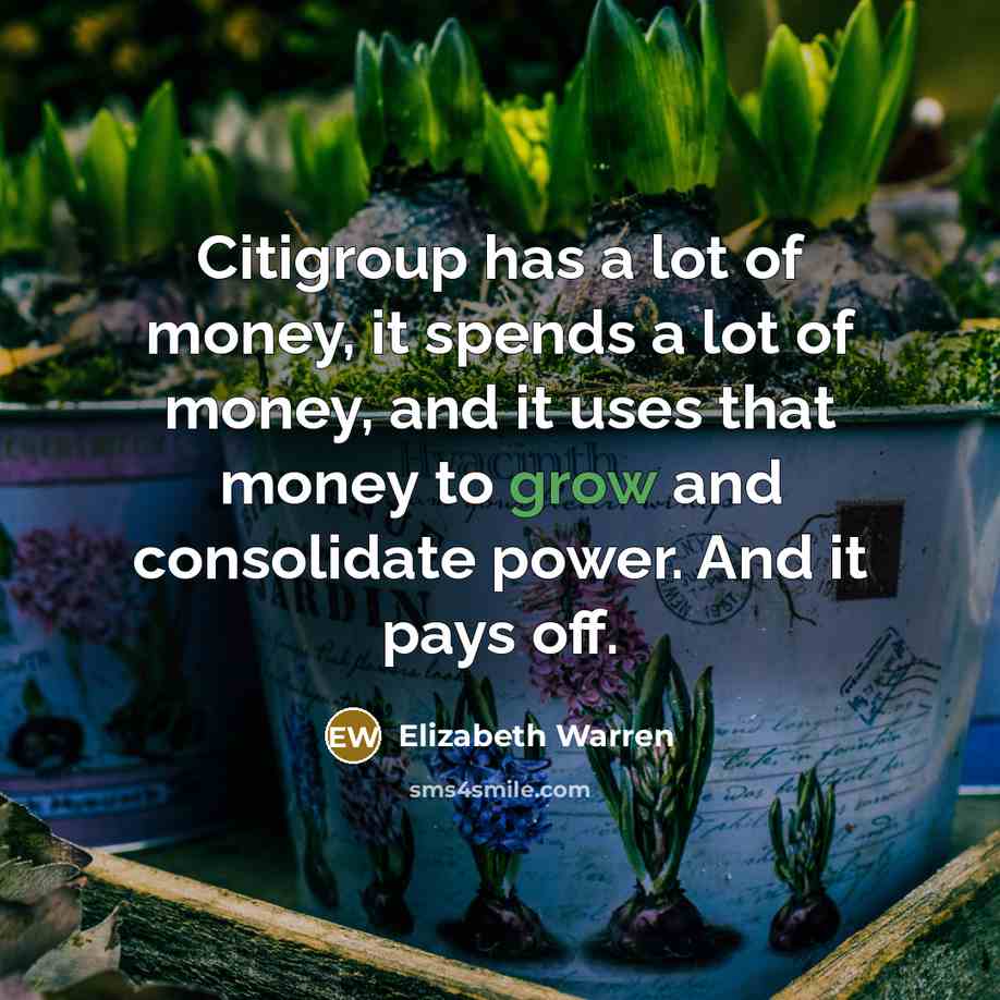 “Citigroup has a lot of money, it spends a lot…” quote by Elizabeth Warren