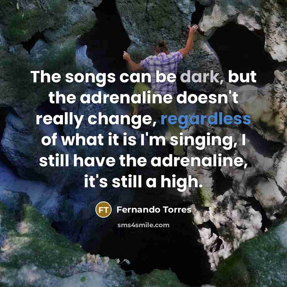 “The songs can be dark, but the adrenaline doesn't really…” quote by Fernando Torres