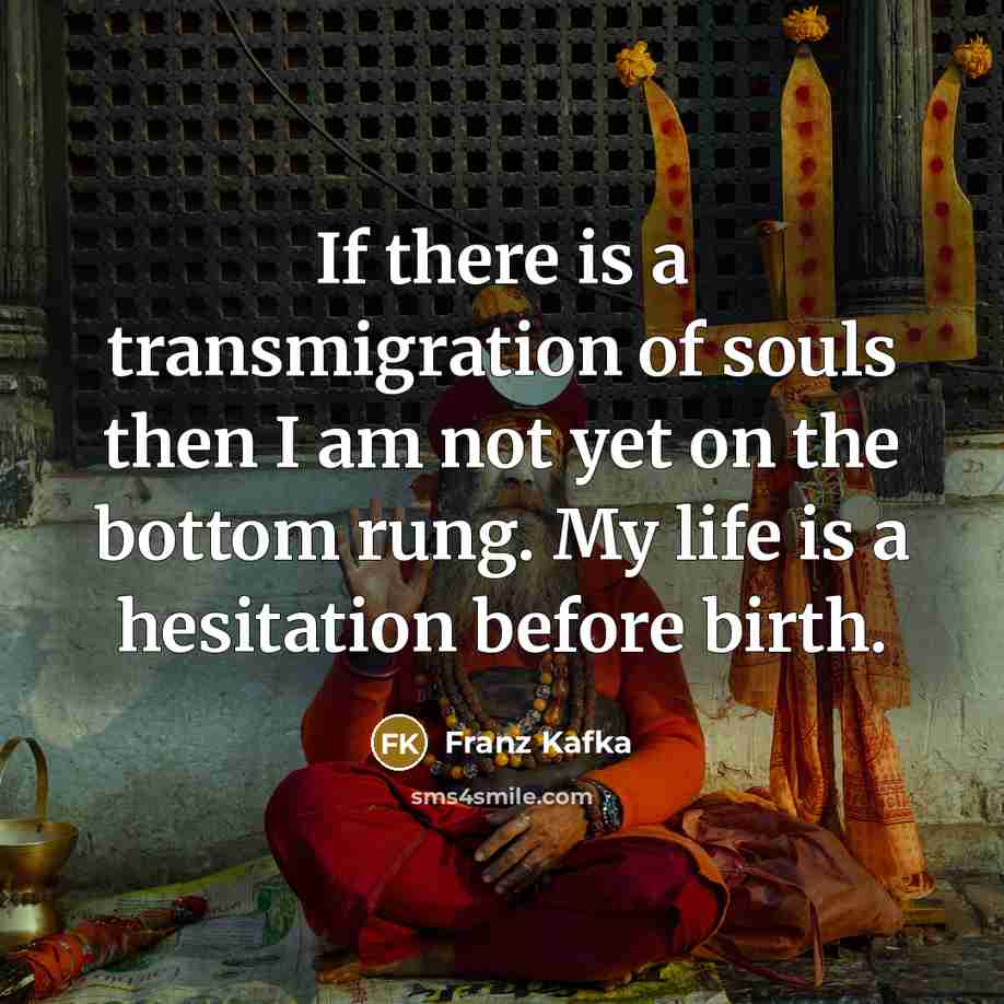 “If there is a transmigration of souls then I am…” quote by Franz Kafka