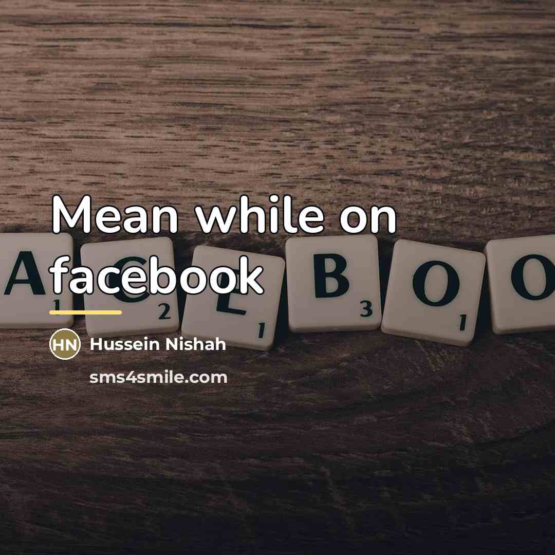 “Mean while on facebook…” quote by Hussein Nishah