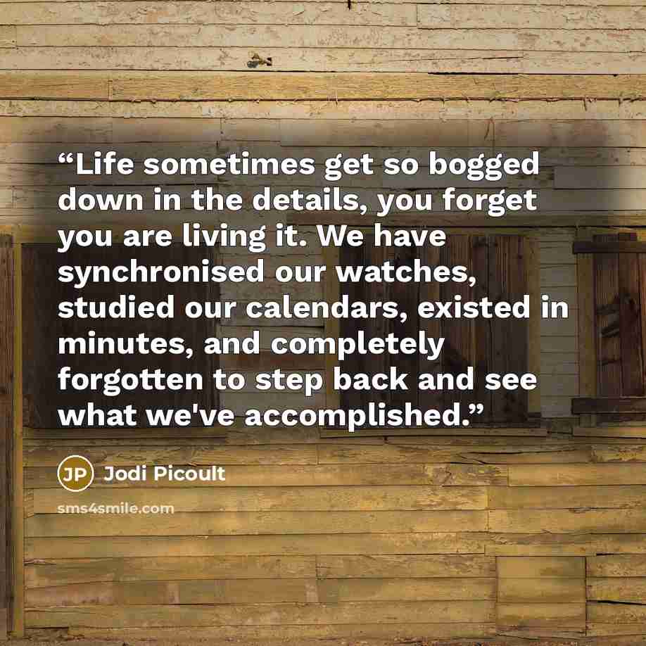 “Life sometimes get so bogged down in the details, you forget you are living it. We have synchronised our watches, studied our calendars, existed in minutes, and completely forgotten to step back and see what we've accomplished.” quote by Jodi Picoult