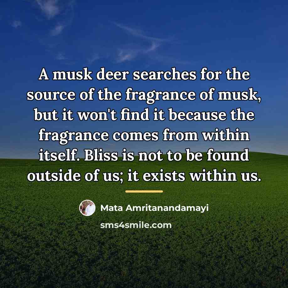 “A musk deer searches for the source of the fragrance…” quote by Mata Amritanandamayi
