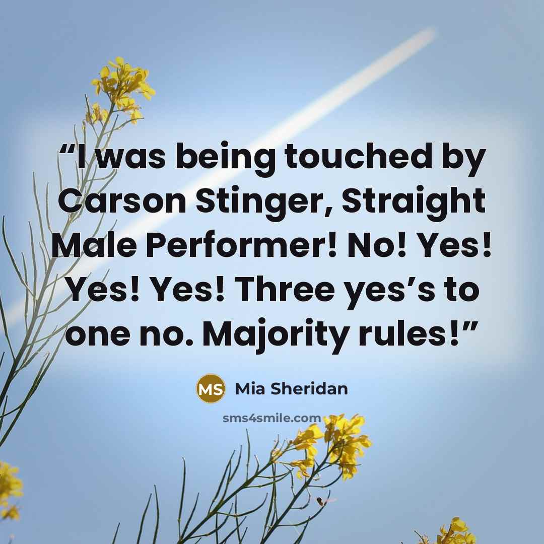 “I was being touched by Carson Stinger, Straight Male Performer! No! Yes! Yes! Yes! Three yes’s to one no. Majority rules!” quote by Mia Sheridan