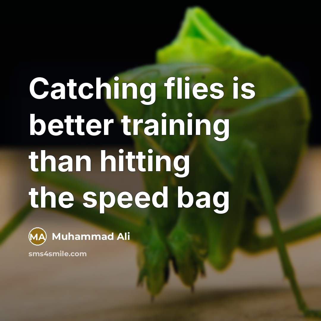 “Catching flies is better training than hitting the speed bag…” quote by Muhammad Ali