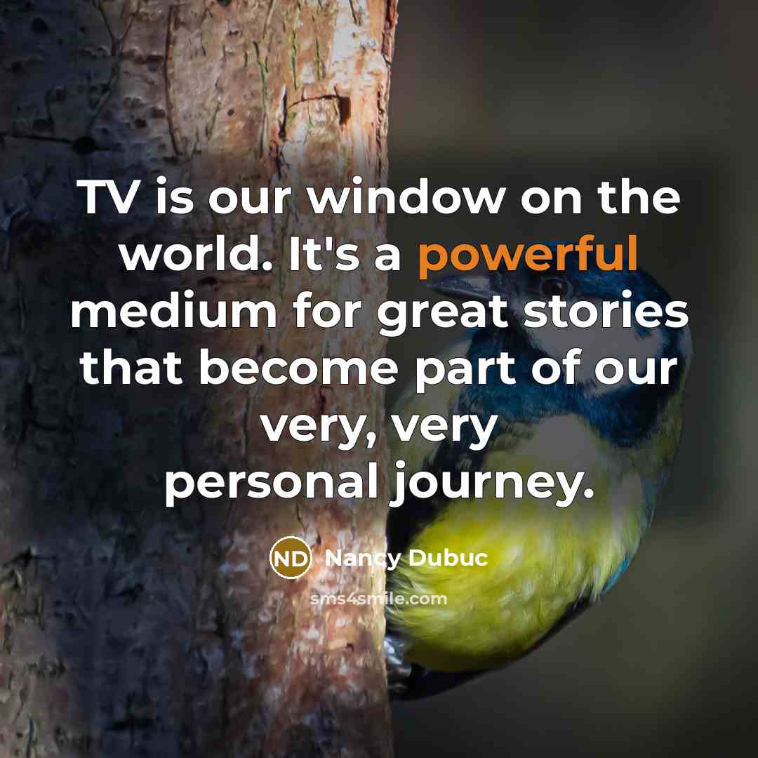 “TV is our window on the world. It's a powerful…” quote by Nancy Dubuc