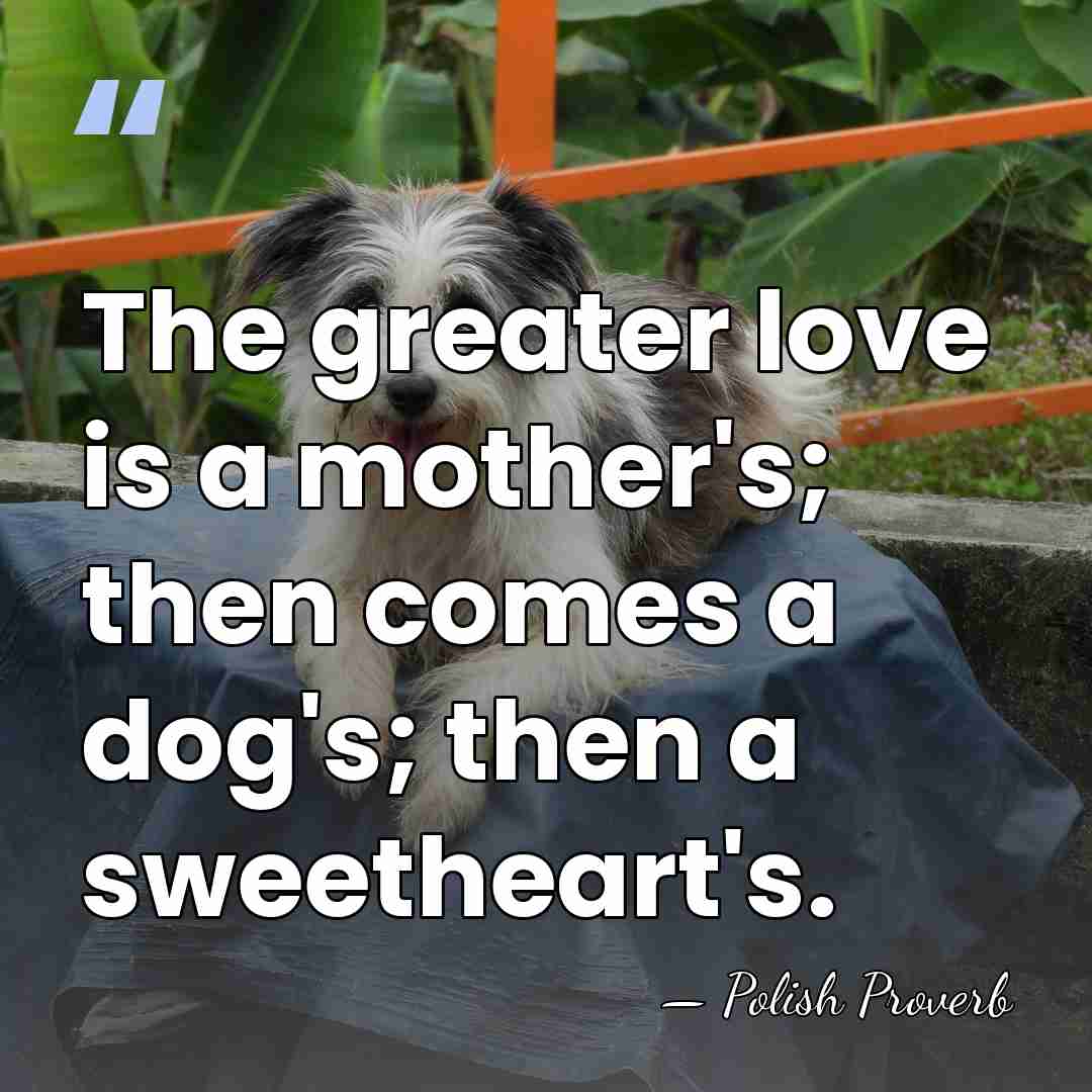 The greater love is a mother's; then comes a dog's; then a&hellip; - Polish Proverb