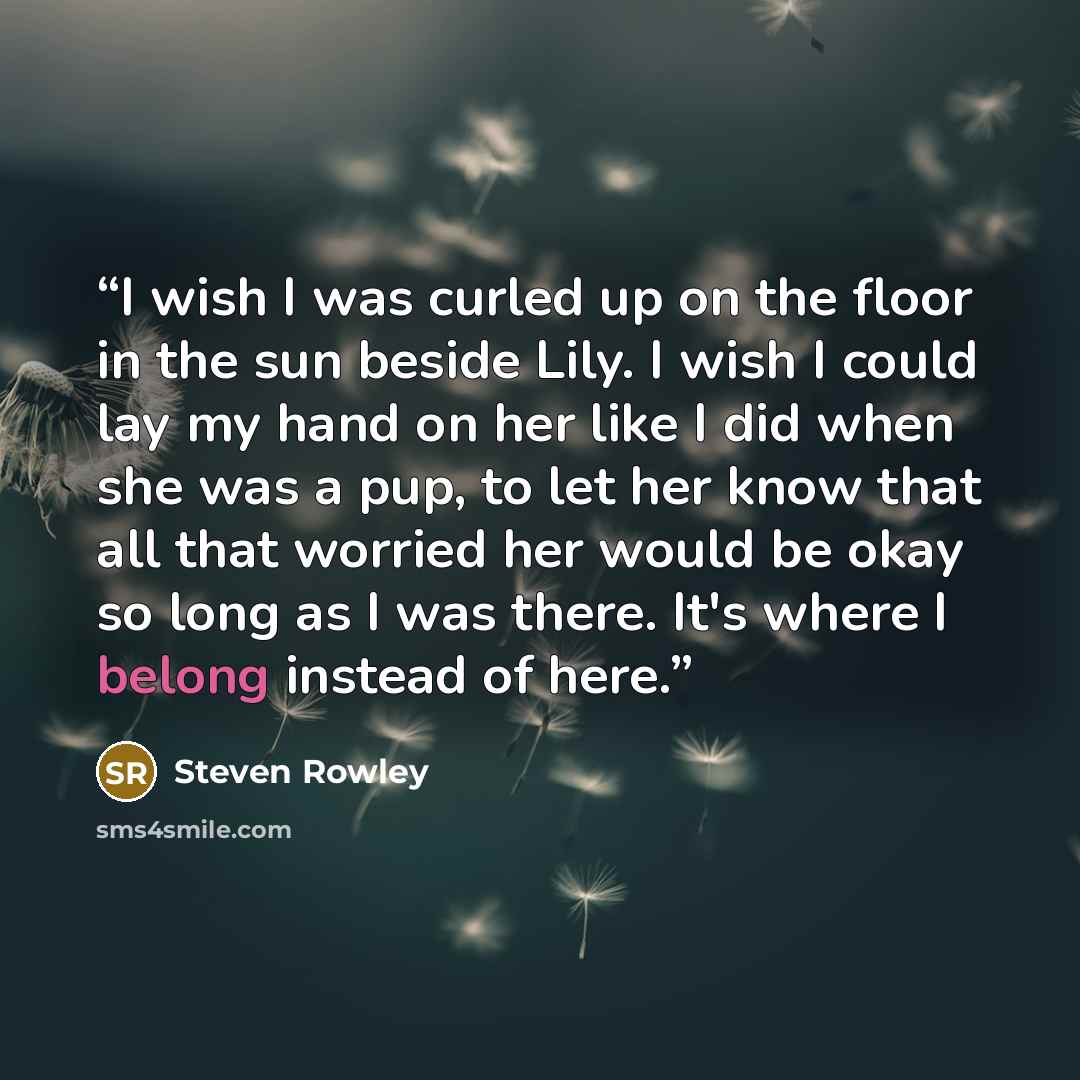 “I wish I was curled up on the floor in the sun beside Lily. I wish I could lay my hand on her like I did when she was a pup, to let her know that all that worried her would be okay so long as I was there. It's where I belong instead of here.” quote by Steven Rowley