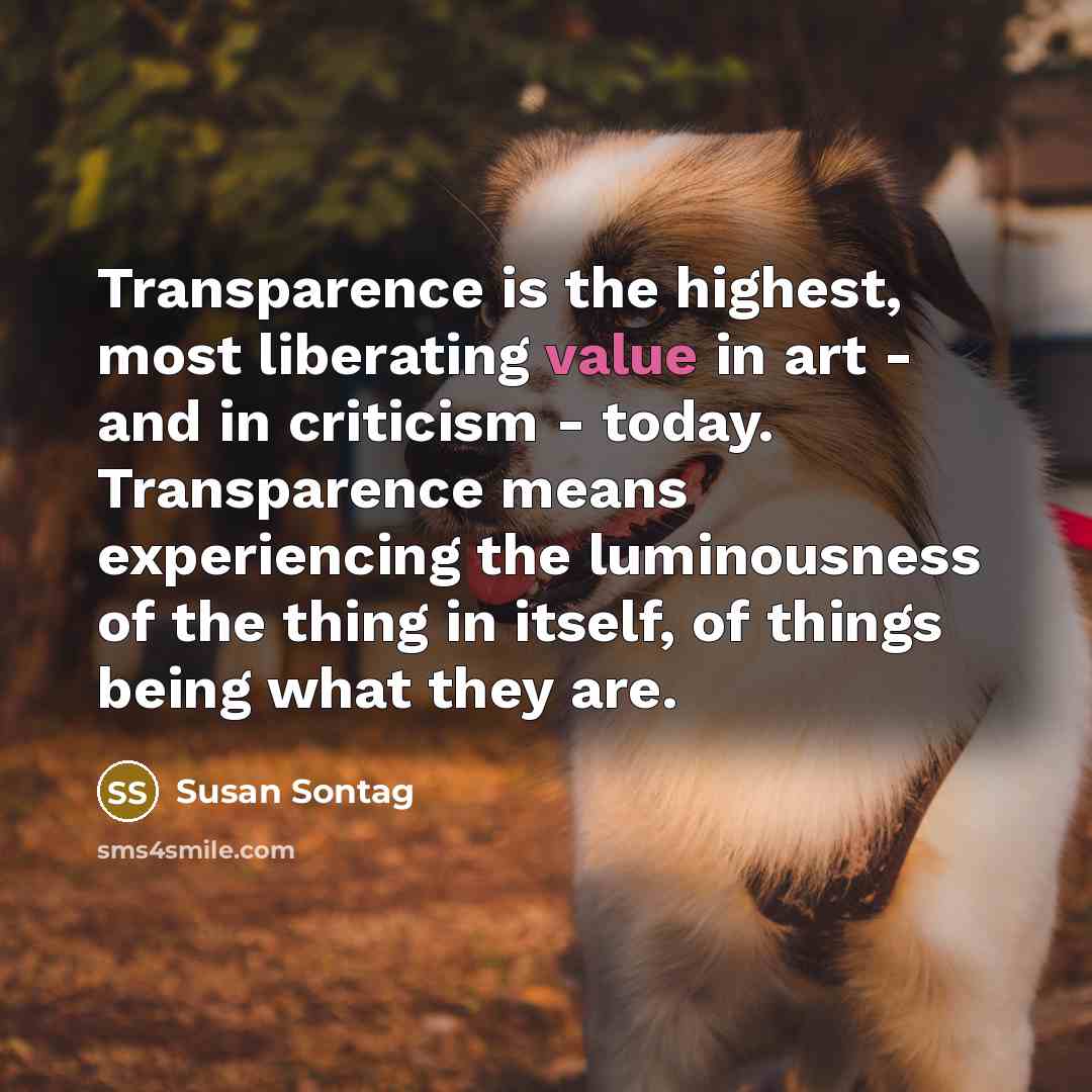 “Transparence is the highest, most liberating value in art -…” quote by Susan Sontag