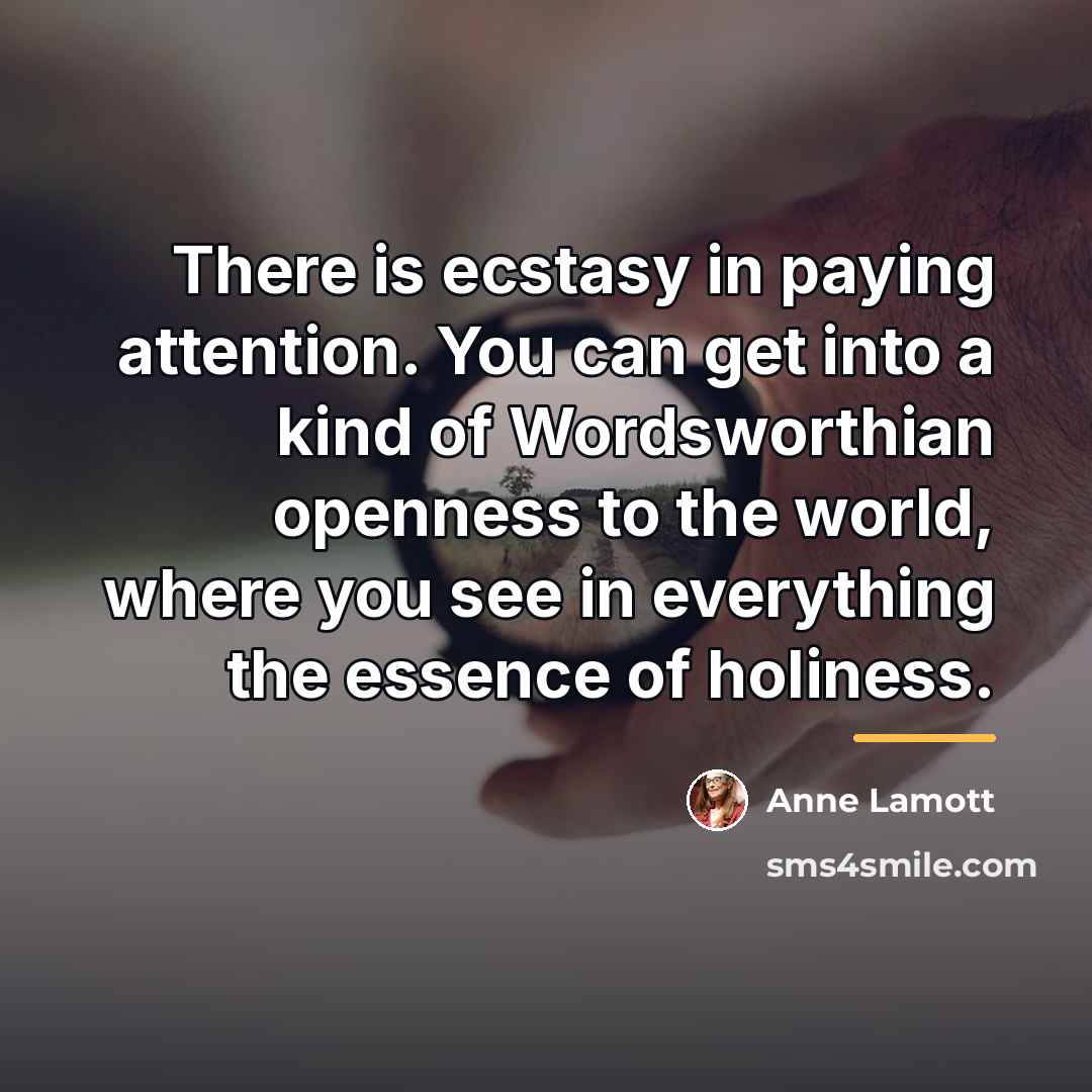 “There is ecstasy in paying attention. You can get into…” quote by Anne Lamott