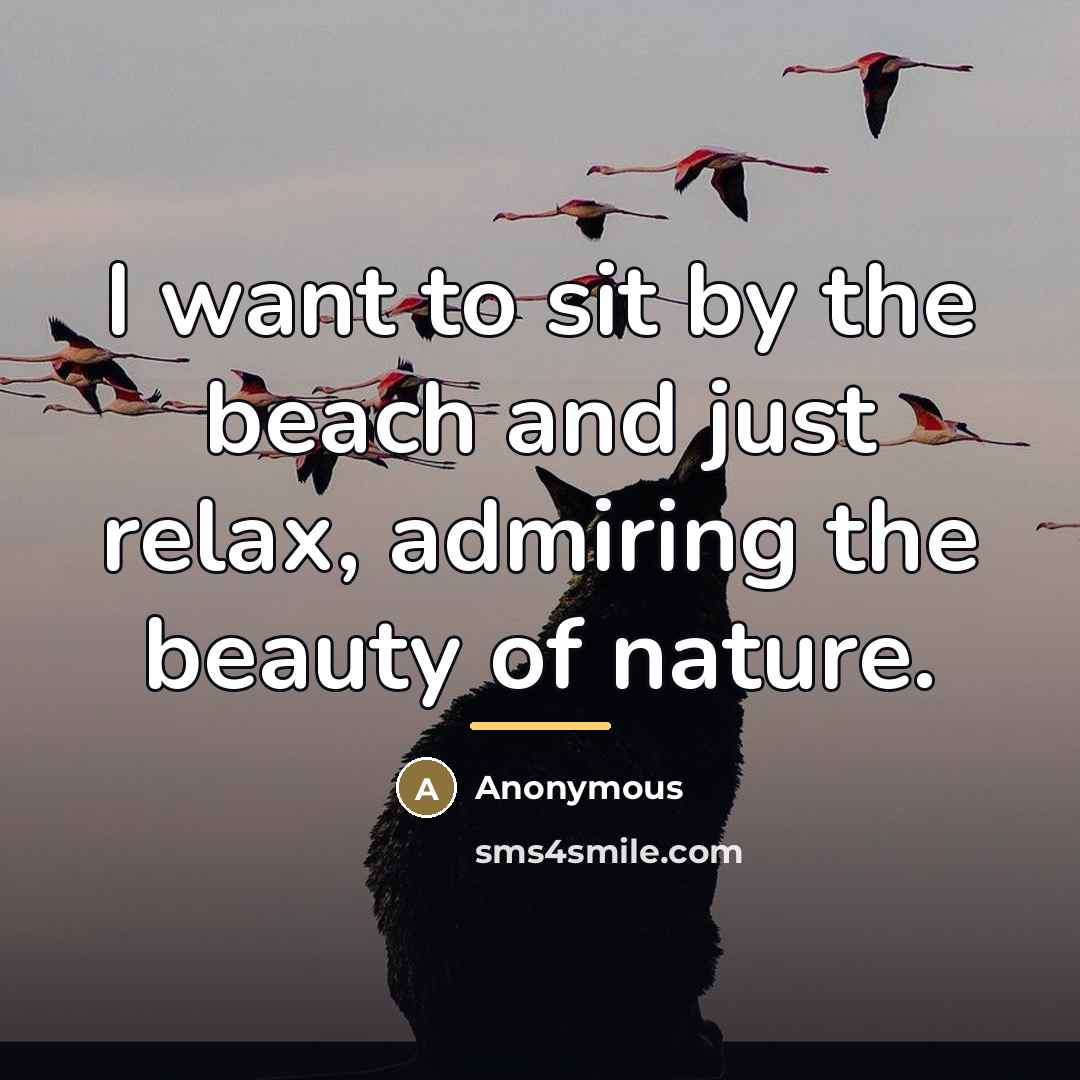 “I want to sit by the beach and just relax,…” quote by Anonymous