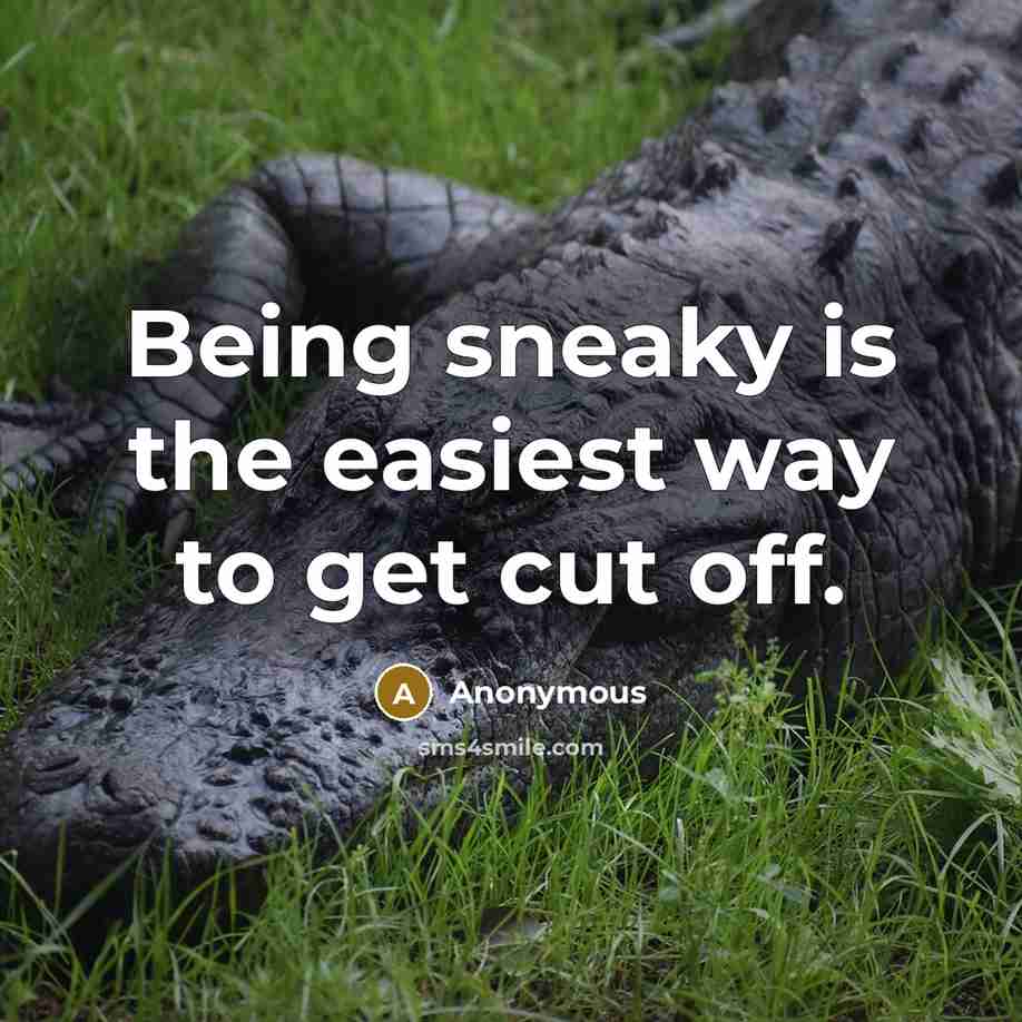 “Being sneaky is the easiest way to get cut off.” quote by Anonymous