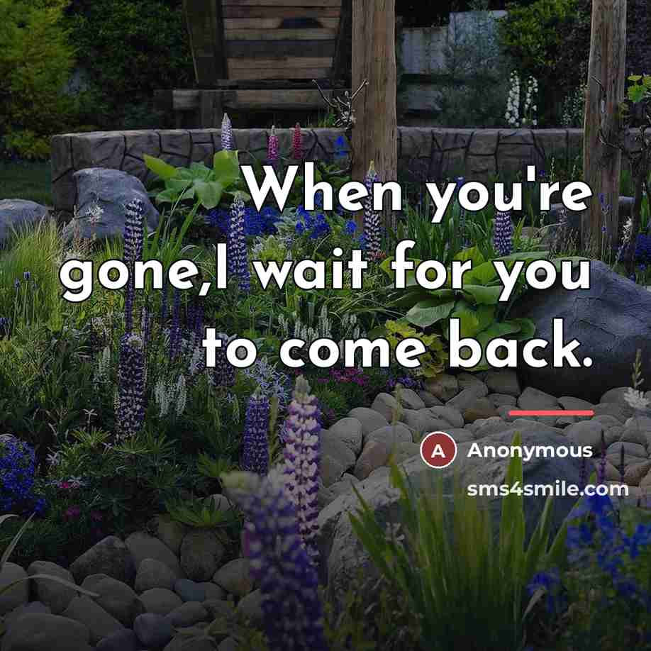 “When you're gone,I wait for you to come back.…” quote by Anonymous