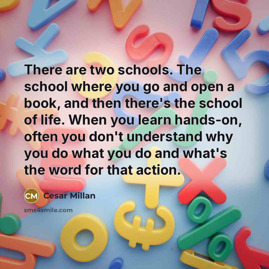 “There are two schools. The school where you go and…” quote by Cesar Millan