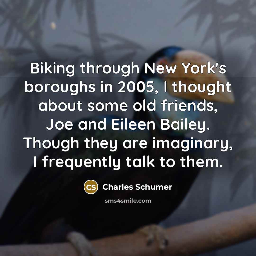 “Biking through New York's boroughs in 2005, I thought about…” quote by Charles Schumer