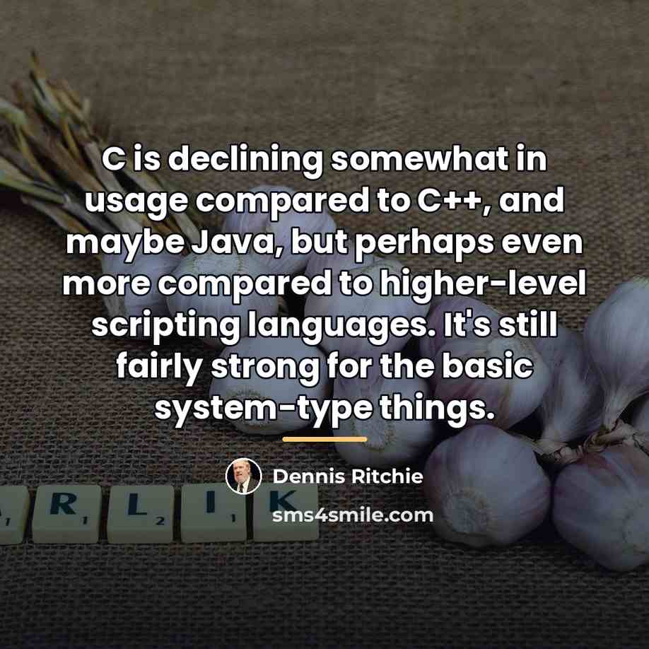 “C is declining somewhat in usage compared to C++, and…” quote by Dennis Ritchie