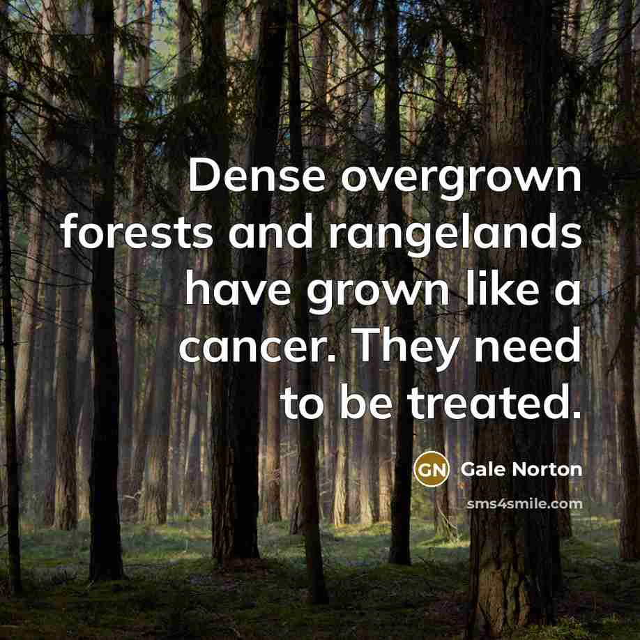 “Dense overgrown forests and rangelands have grown like a cancer.…” quote by Gale Norton