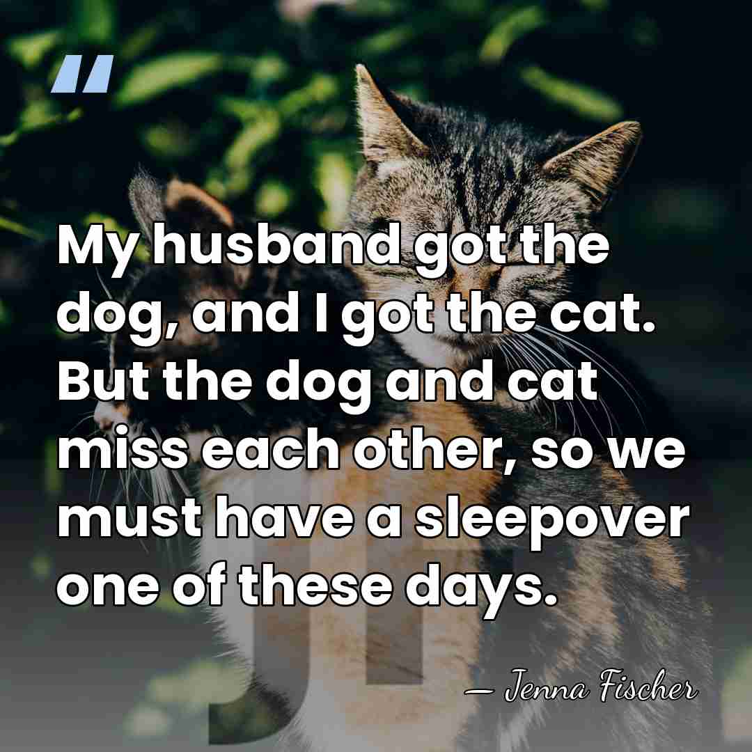 My husband got the dog, and I got the cat. But the&hellip; - Jenna Fischer