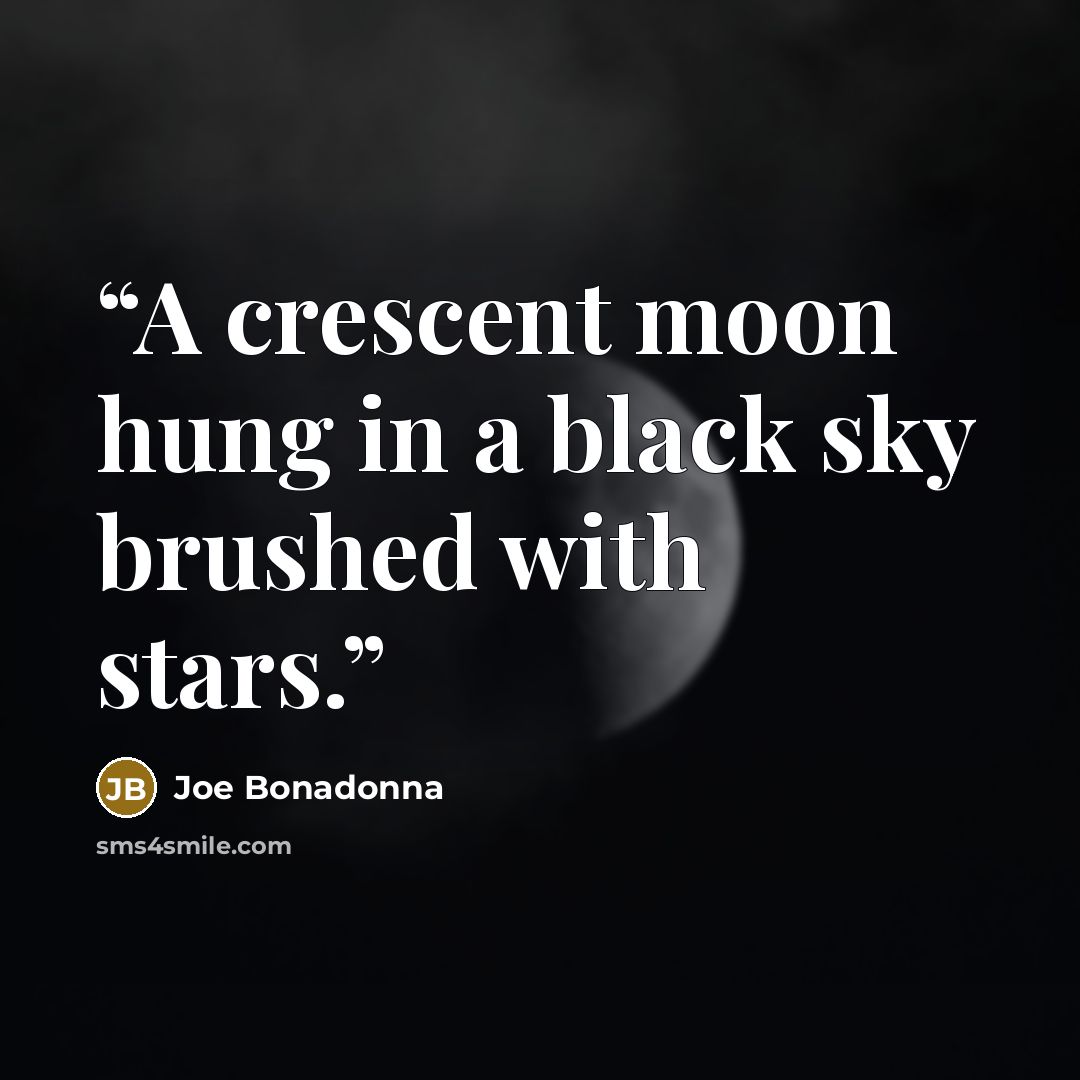 “A crescent moon hung in a black sky brushed with stars.” quote by Joe Bonadonna
