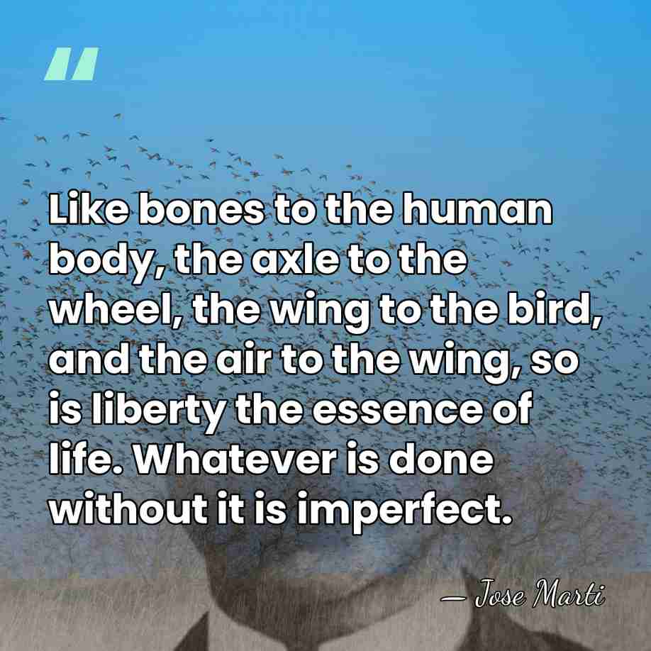 Like bones to the human body, the axle to the wheel, the&hellip; - Jose Marti