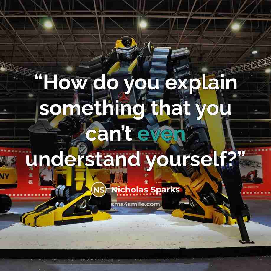 “How do you explain something that you can’t even understand yourself?” quote by Nicholas Sparks