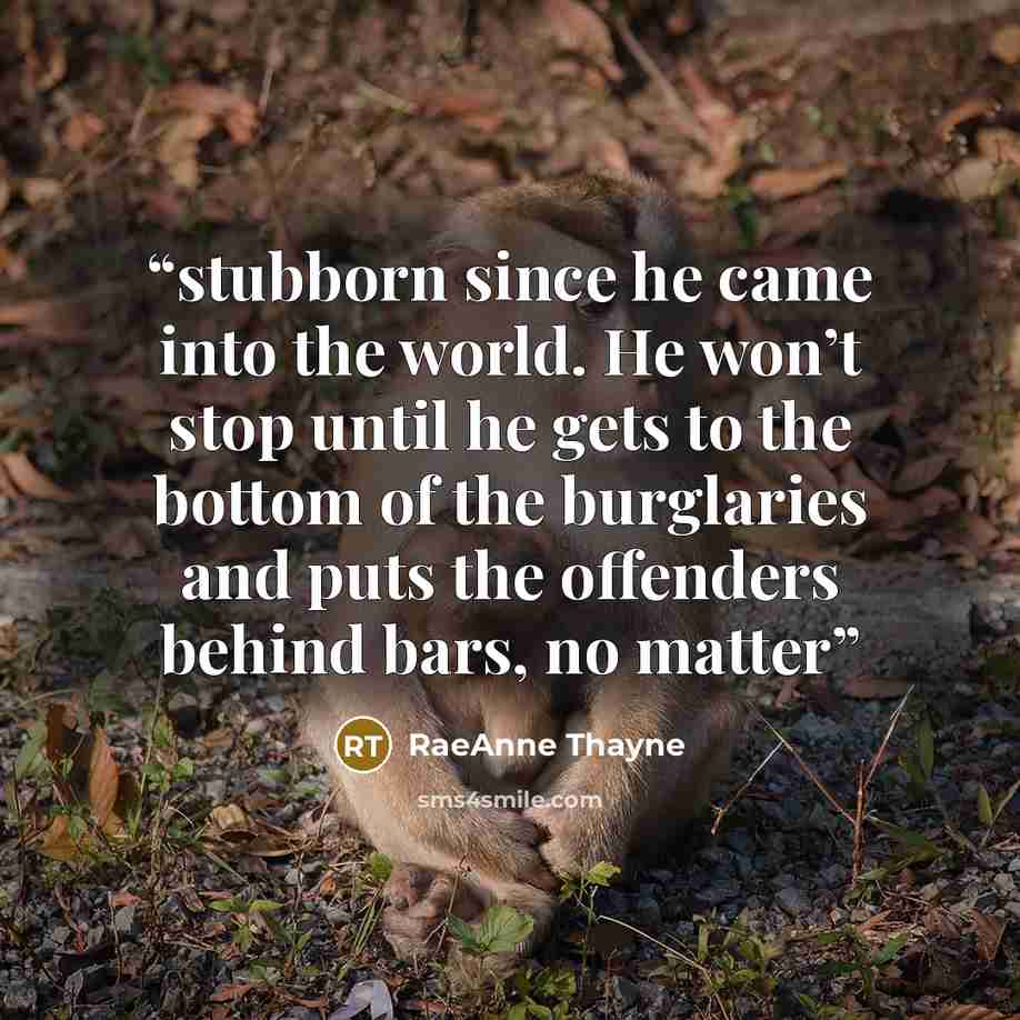 “stubborn since he came into the world. He won’t stop until he gets to the bottom of the burglaries and puts the offenders behind bars, no matter” quote by RaeAnne Thayne