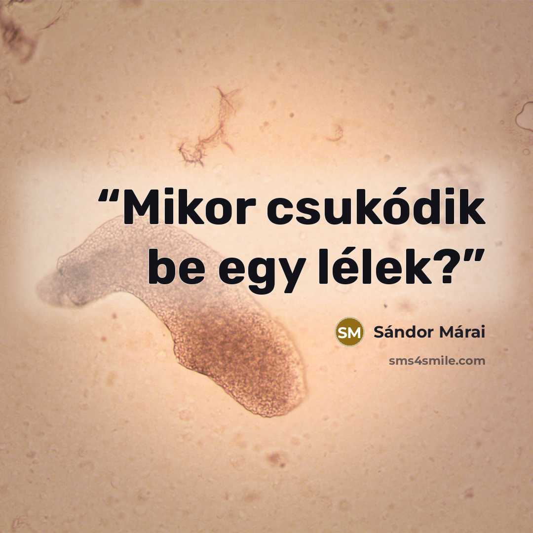 “Mikor csukódik be egy lélek?” quote by Sándor Márai