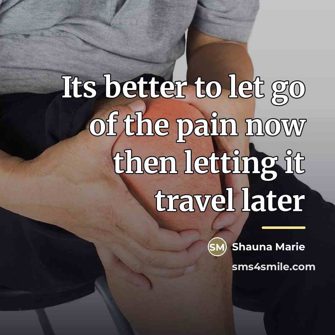“Its better to let go of the pain now then…” quote by Shauna Marie
