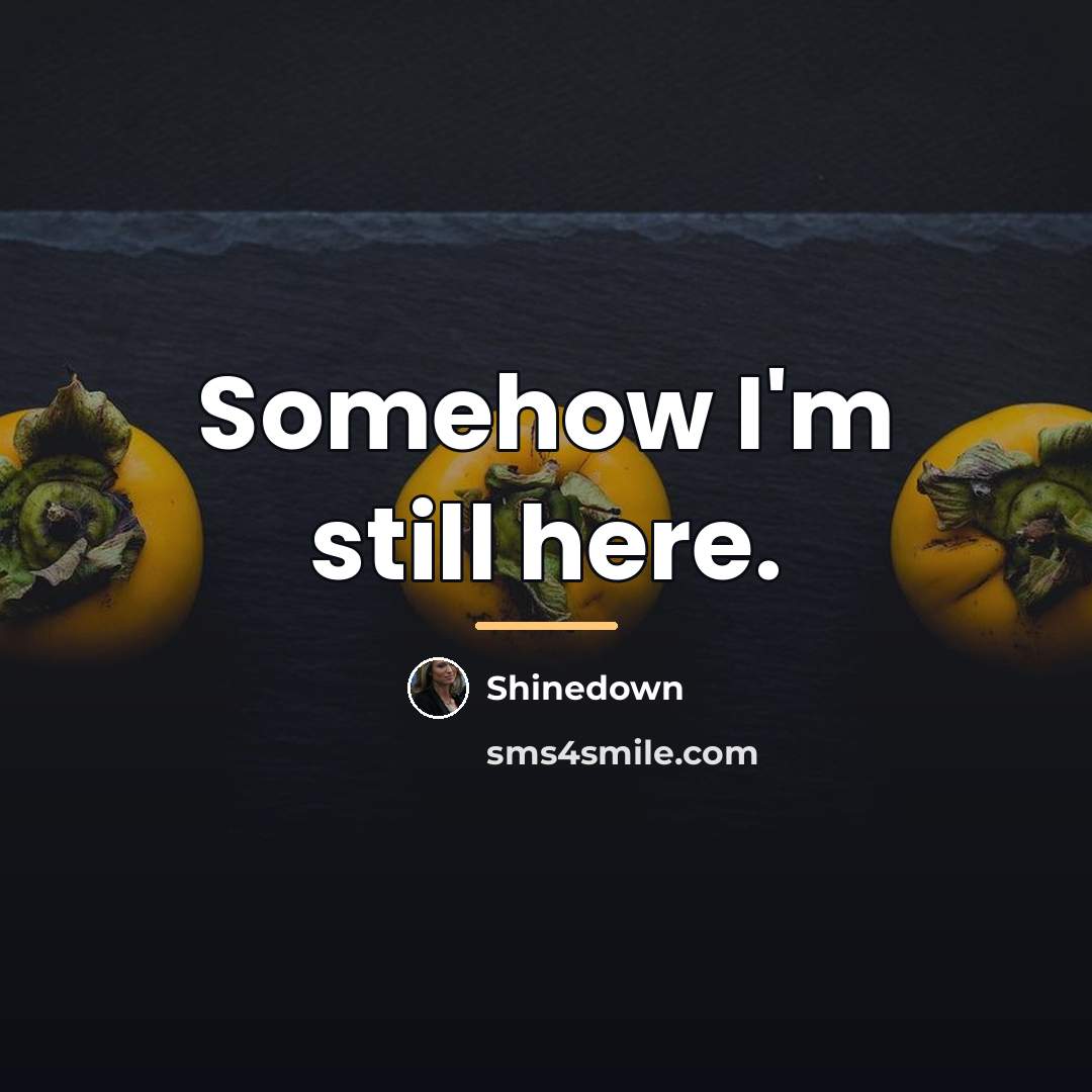 “Somehow I'm still here.…” quote by Shinedown