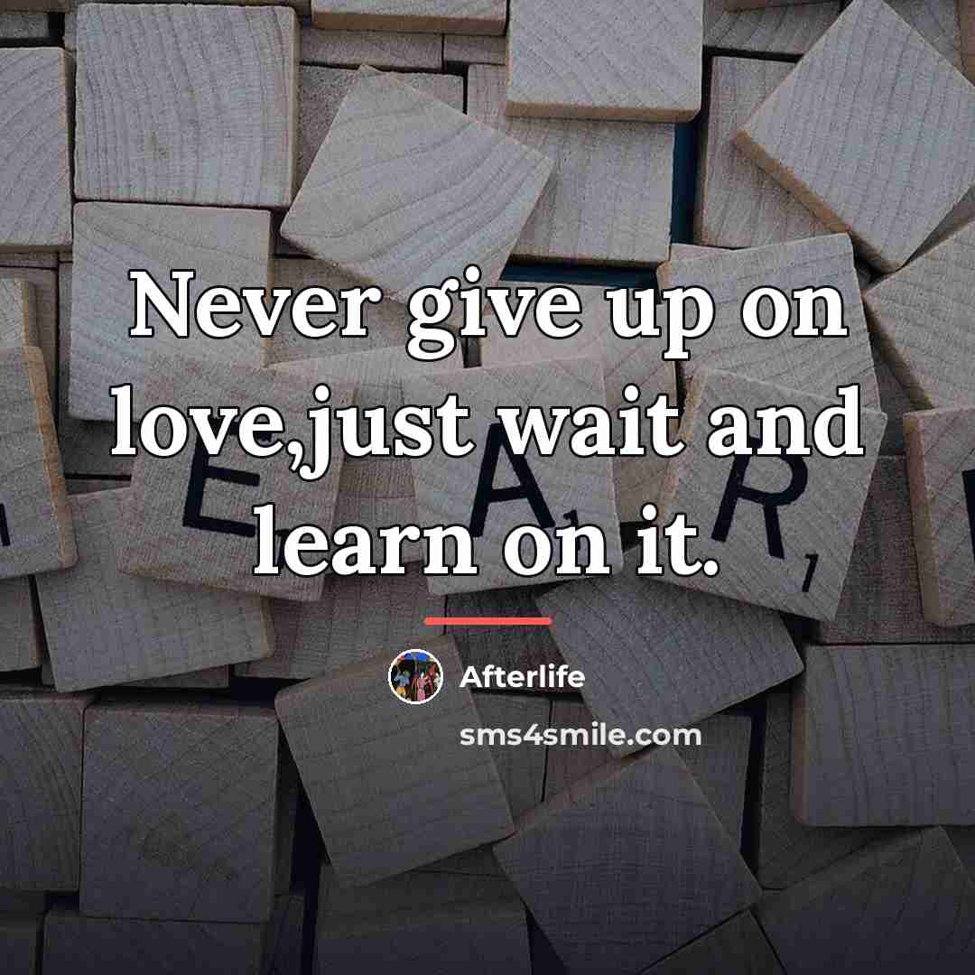 “Never give up on love,just wait and learn on it.…” quote by Afterlife