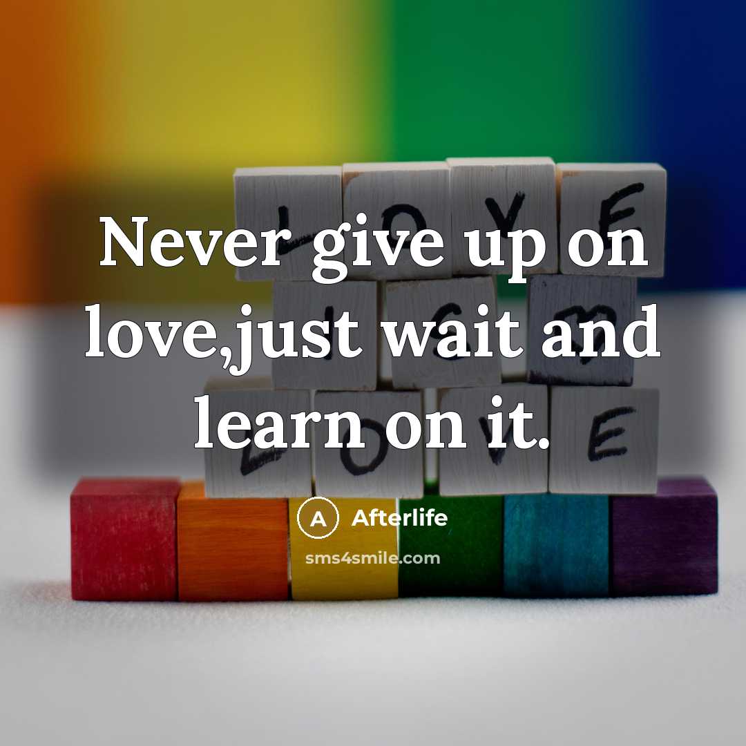 “Never give up on love,just wait and learn on it.” quote by Afterlife