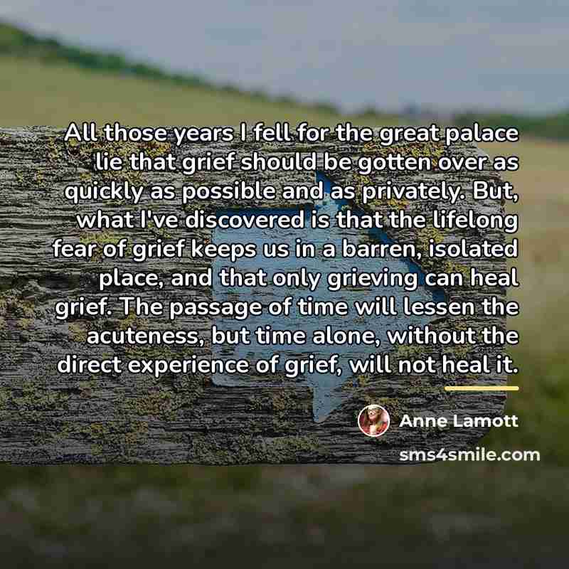 “All those years I fell for the great palace lie…” quote by Anne Lamott