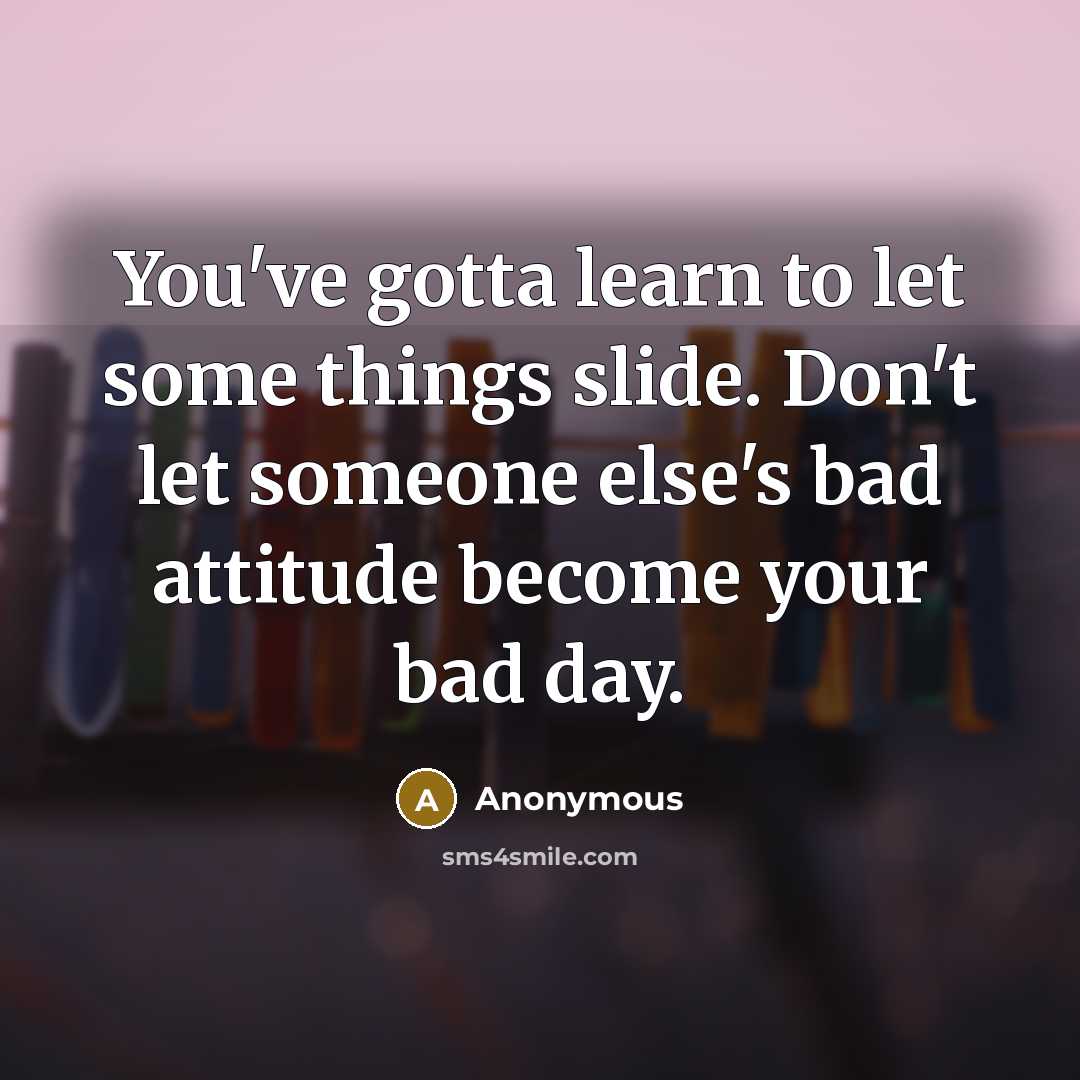 “You've gotta learn to let some things slide. Don't let…” quote by Anonymous