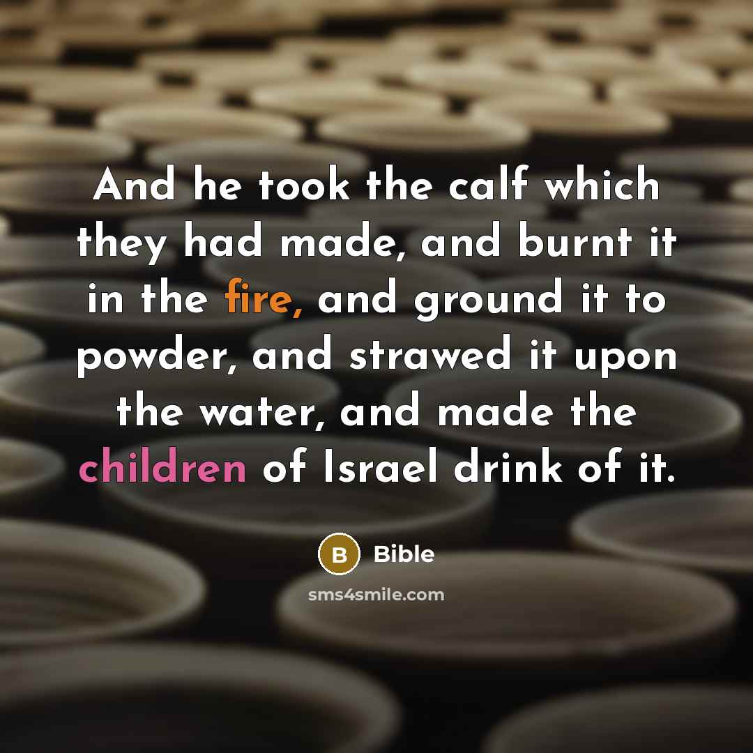 “And he took the calf which they had made, and burnt it in the fire, and ground it to powder, and strawed it upon the water, and made the children of Israel drink of it.” quote by Bible
