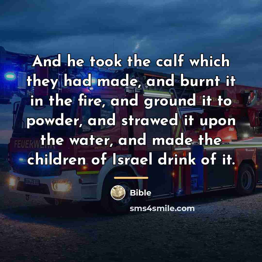 “And he took the calf which they had made, and…” quote by Bible