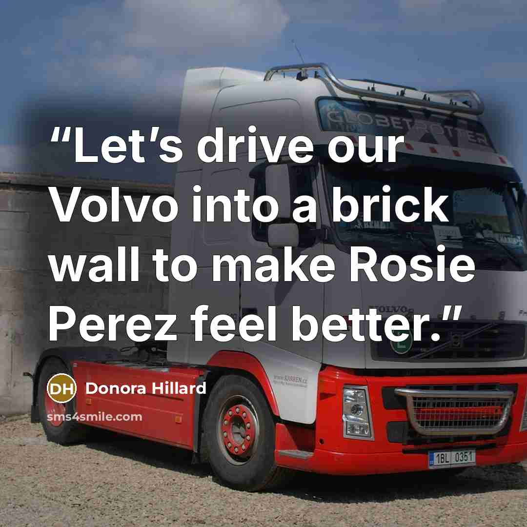 “Let’s drive our Volvo into a brick wall to make Rosie Perez feel better.” quote by Donora Hillard