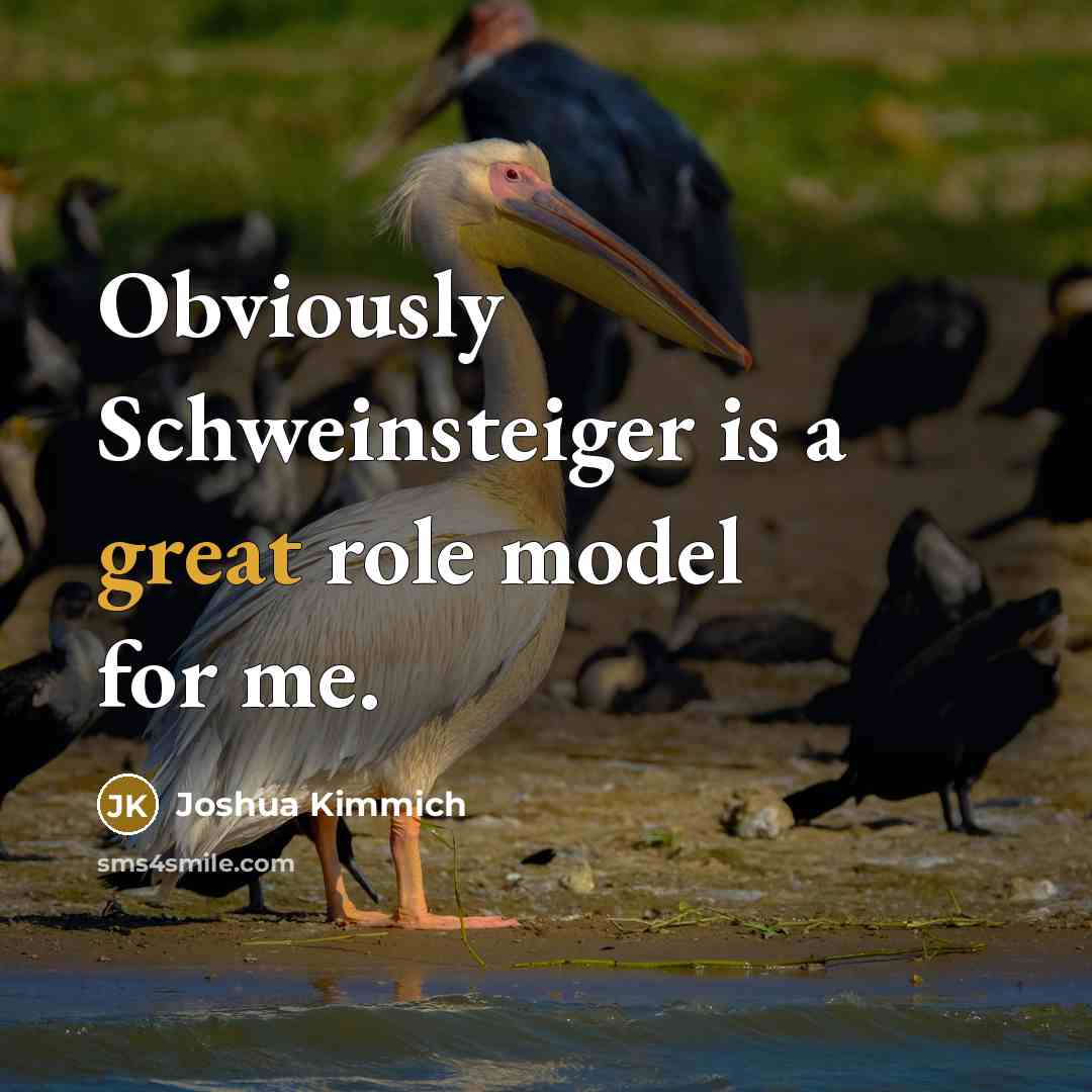 “Obviously Schweinsteiger is a great role model for me.…” quote by Joshua Kimmich