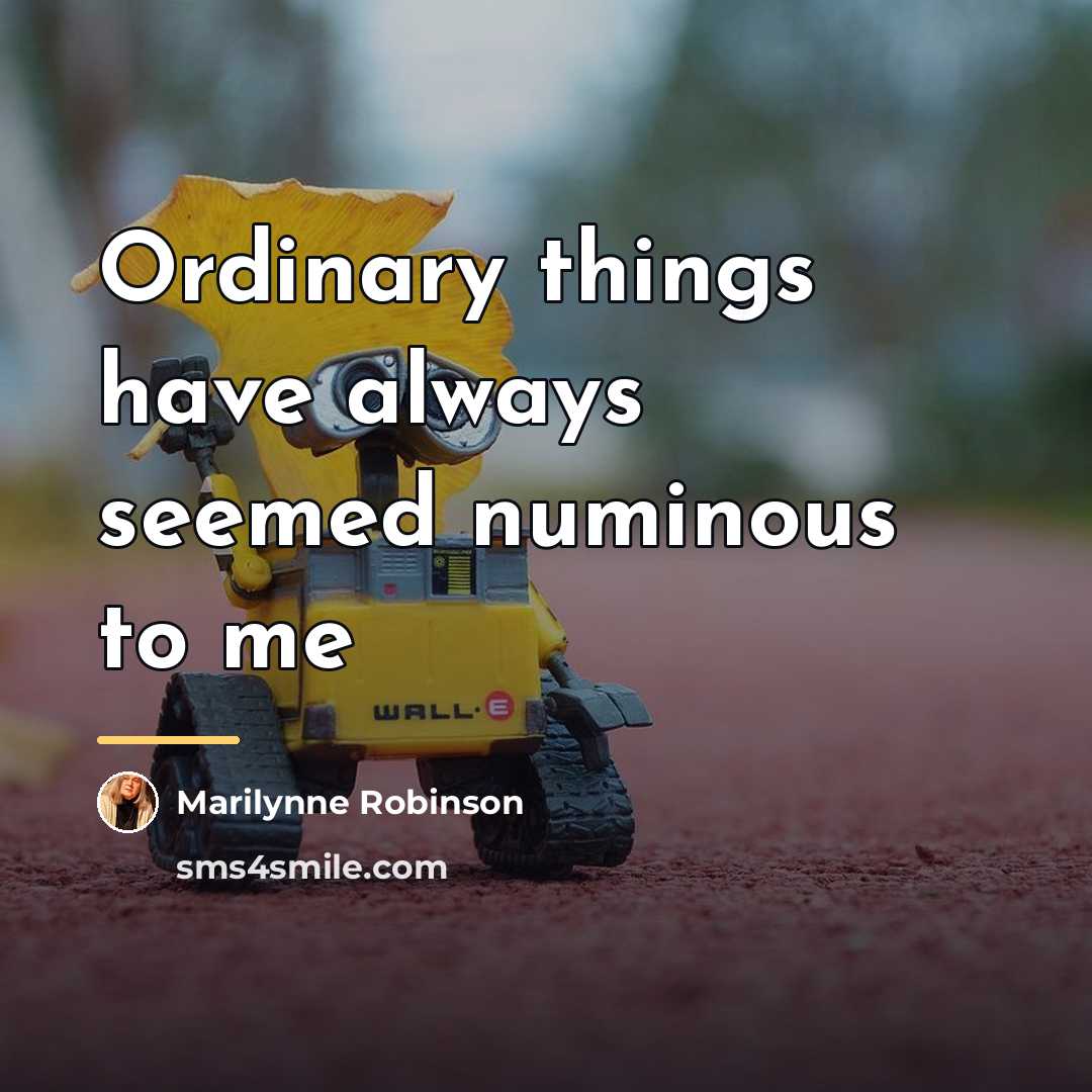 “Ordinary things have always seemed numinous to me…” quote by Marilynne Robinson