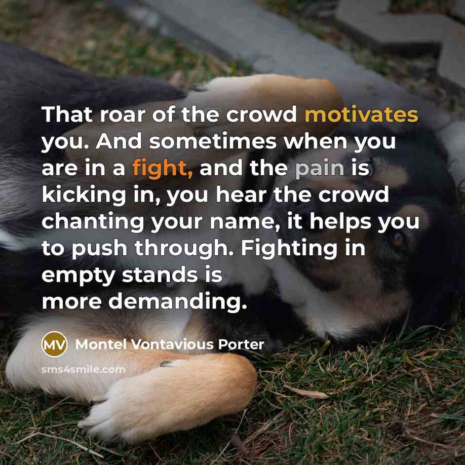 “That roar of the crowd motivates you. And sometimes when you are in a fight, and the pain is kicking in, you hear the crowd chanting your name, it helps you to push through. Fighting in empty stands is more demanding.” quote by Montel Vontavious Porter
