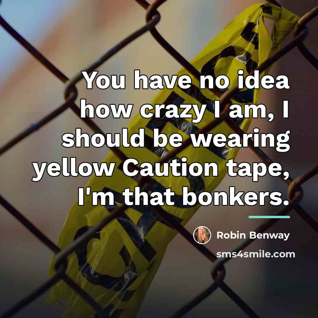 “You have no idea how crazy I am, I should…” quote by Robin Benway