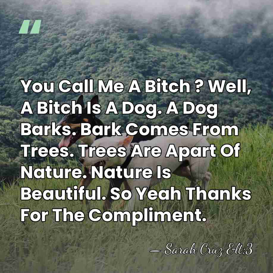 You Call Me A Bitch ? Well, A Bitch Is A Dog.&hellip; - Sarah Cruz <3