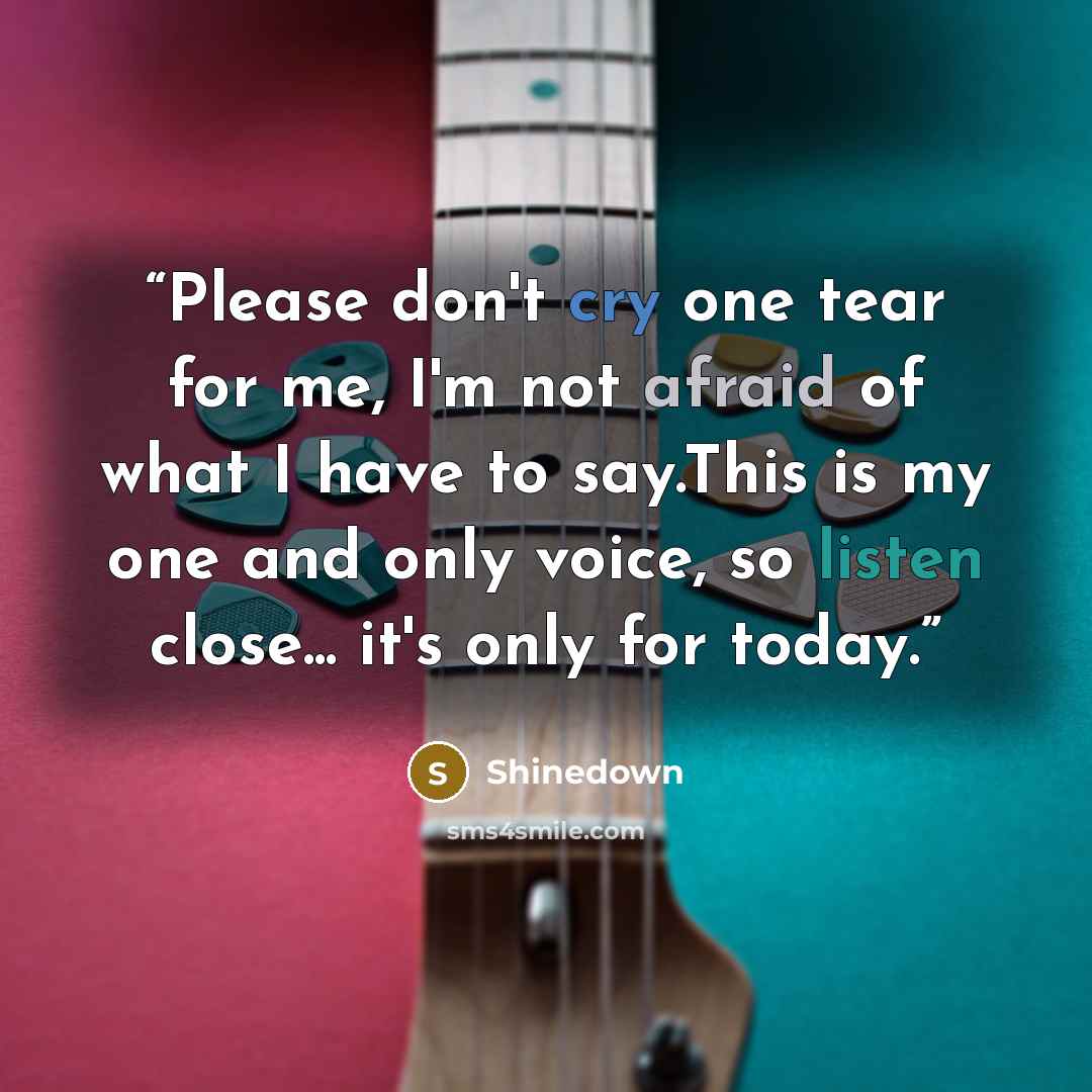 “Please don't cry one tear for me, I'm not afraid of what I have to say.This is my one and only voice, so listen close... it's only for today.” quote by Shinedown