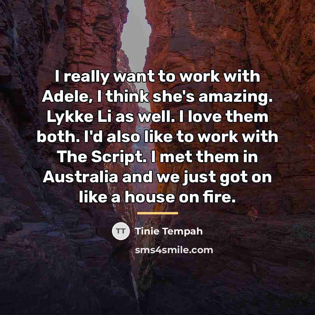 “I really want to work with Adele, I think she's…” quote by Tinie Tempah