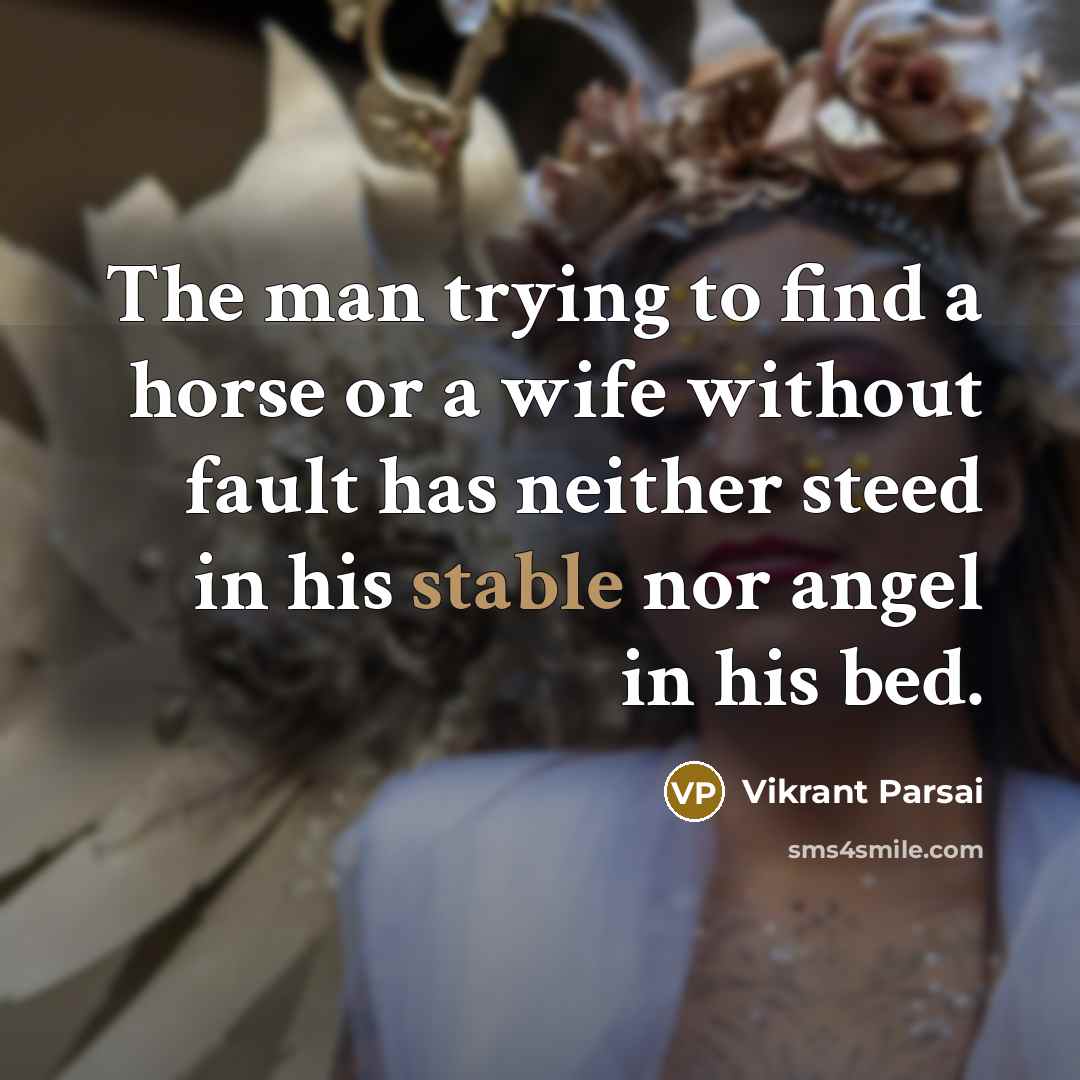 “The man trying to find a horse or a wife…” quote by Vikrant Parsai