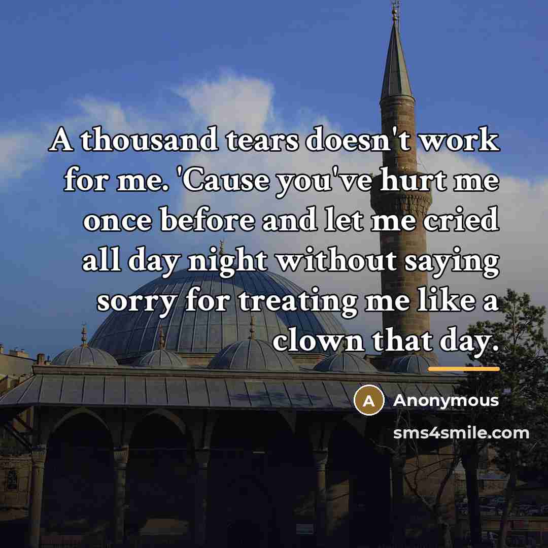 “A thousand tears doesn't work for me. 'Cause you've hurt…” quote by Anonymous